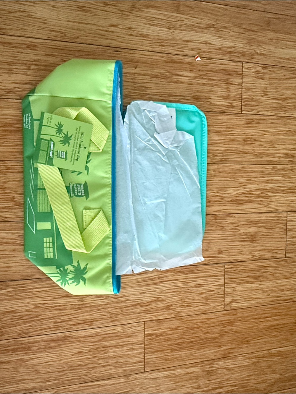 Palm Green Trader Joe's Mini insulated Tote